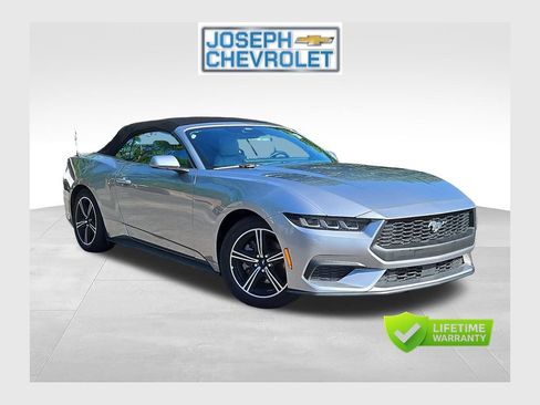 Used 2024 Ford Mustang Premium RWD image 1