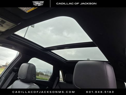 Used 2025 Cadillac XT5 Premium Luxury image 5