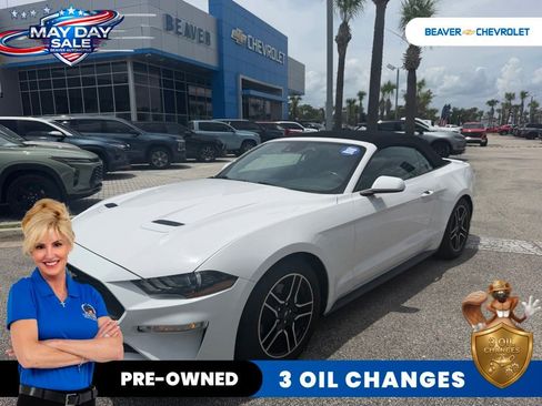 Used 2021 Ford Mustang Premium RWD image 1