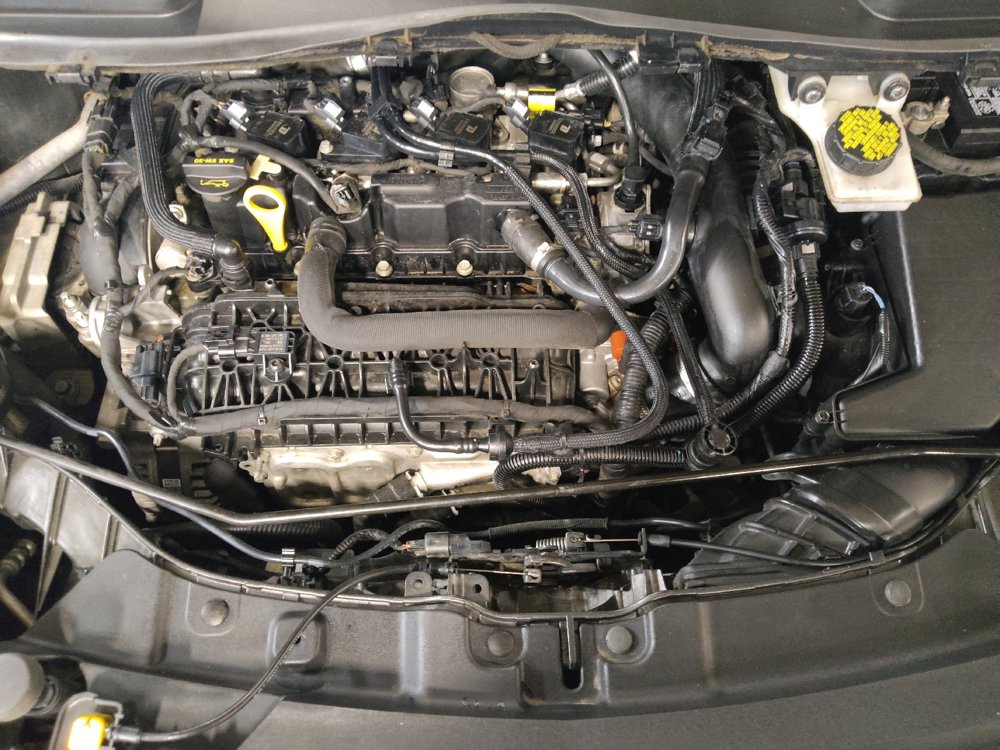 Used 2019 Ford Escape SE FWD image 30