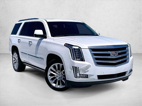 Used 2019 Cadillac Escalade Premium Luxury RWD image 12