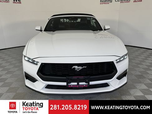 Used 2025 Ford Mustang Premium RWD image 10