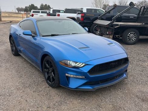 Used 2020 Ford Mustang Coupe w/ Equipment Group 101A image 1
