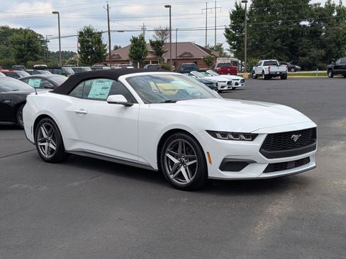 New 2025 Ford Mustang Premium RWD image 2