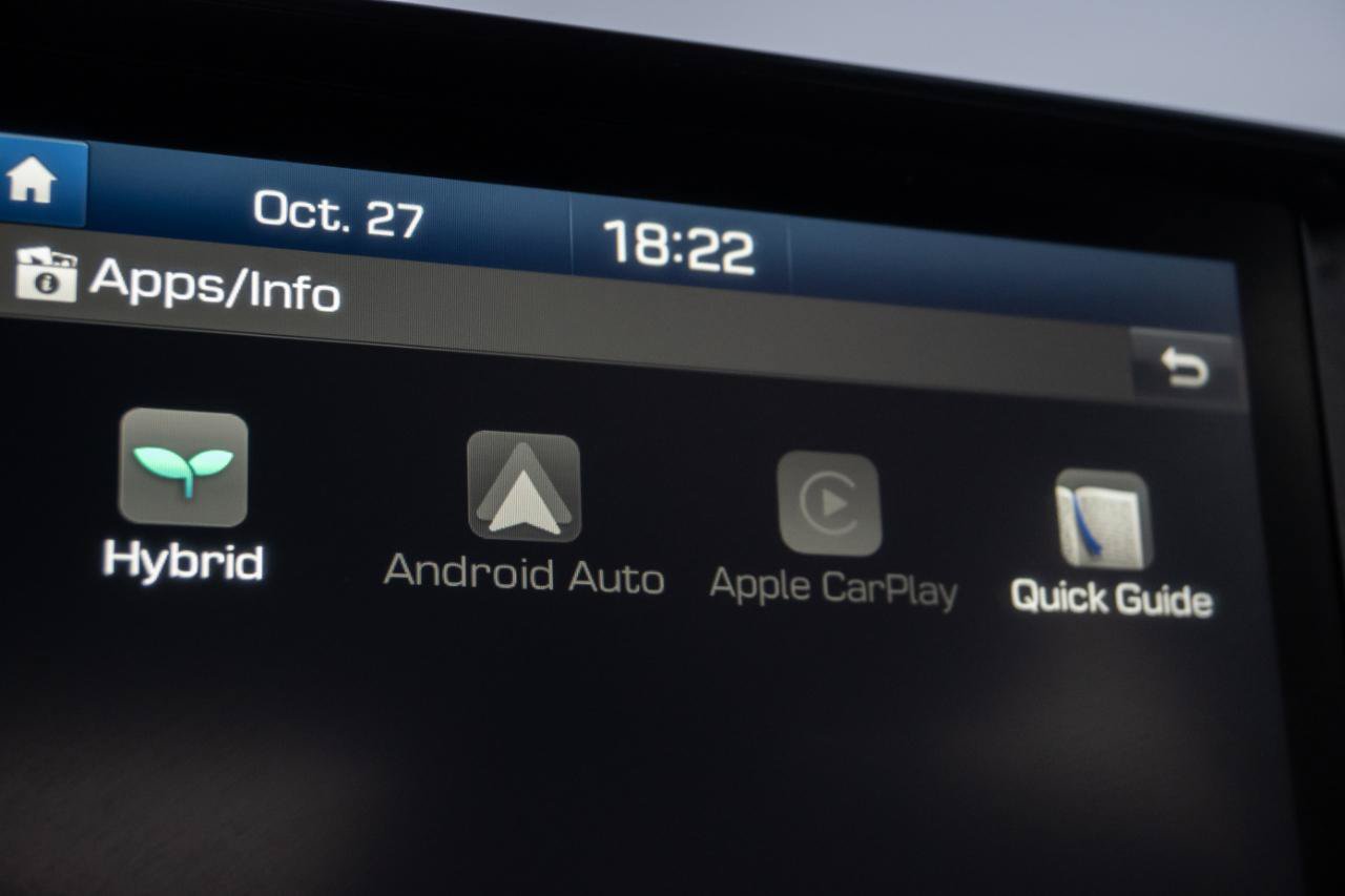 Used 2020 Hyundai Ioniq Blue FWD image 26