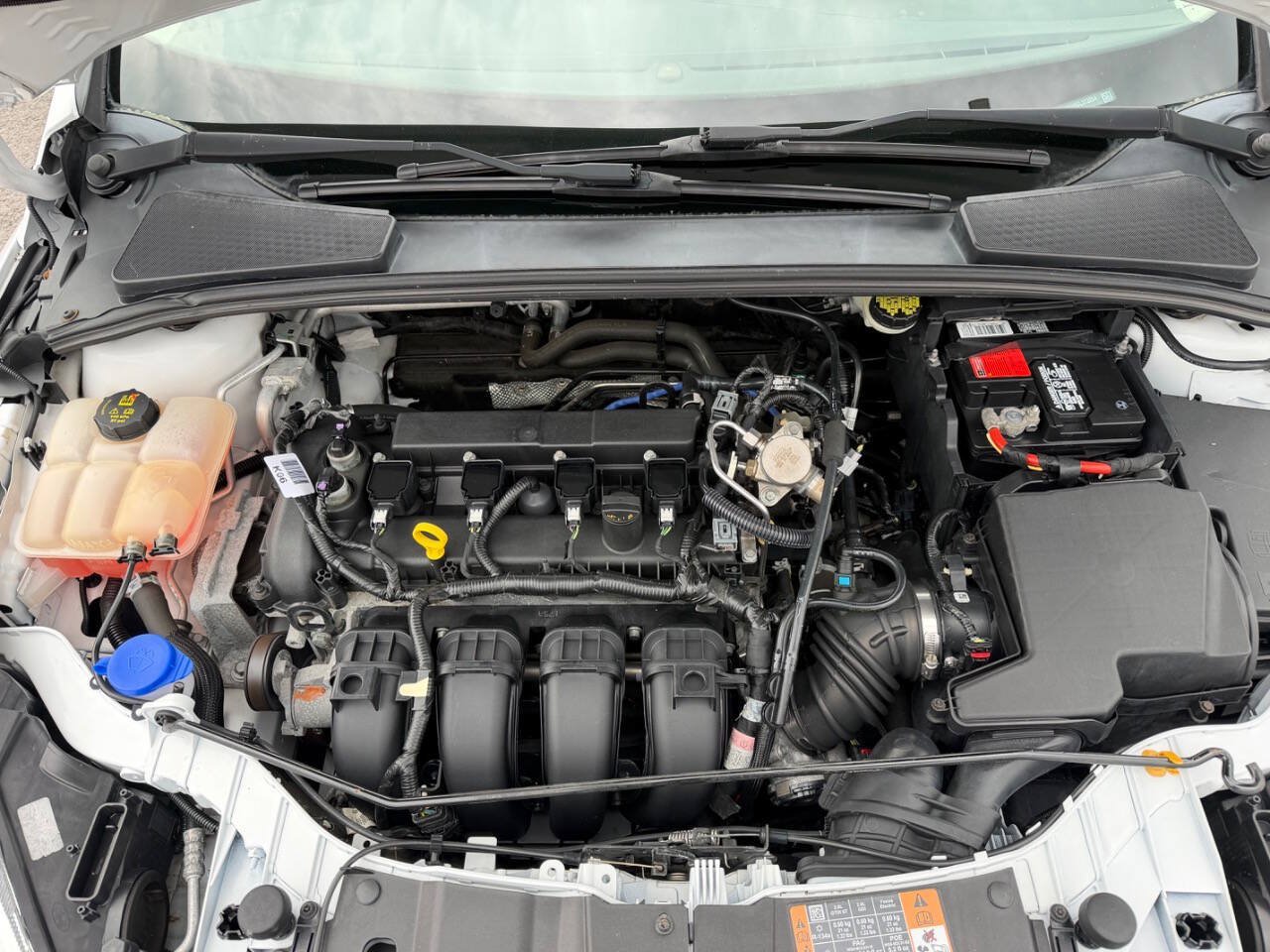Used 2016 Ford Focus SE FWD image 20