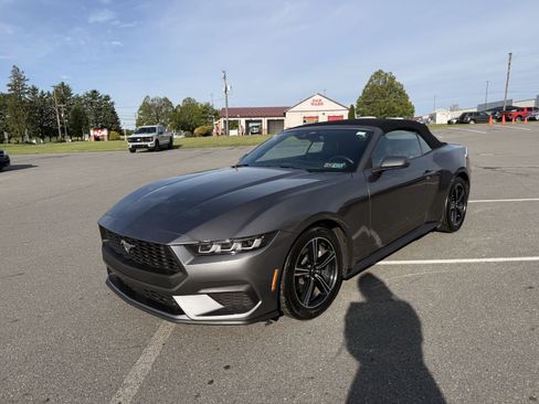 Certified 2025 Ford Mustang Premium RWD image 3
