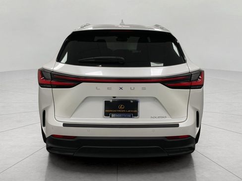 Used 2024 Lexus NX 250 FWD image 4