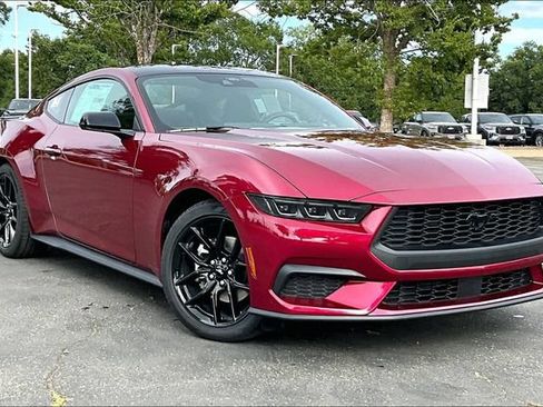 New 2026 Ford Mustang Coupe w/ Mustang Nite Pony Package RWD image 2