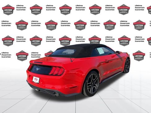 Used 2020 Ford Mustang Premium image 6