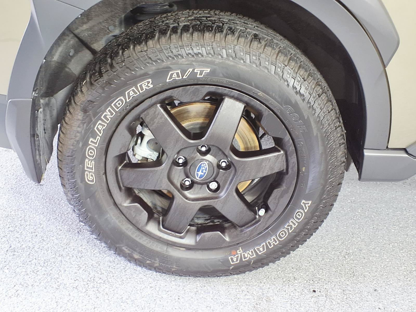 Used 2025 Subaru Outback Wilderness AWD/4WD image 6