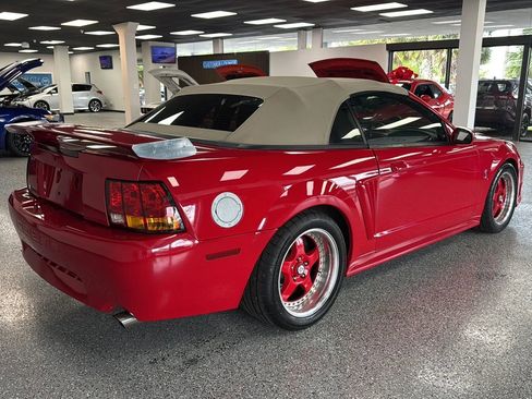 Used 1999 Ford Mustang Cobra RWD image 5