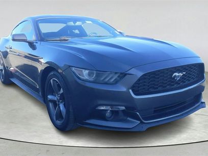 Used 2015 Ford Mustang Coupe w/ Equipment Group 051A