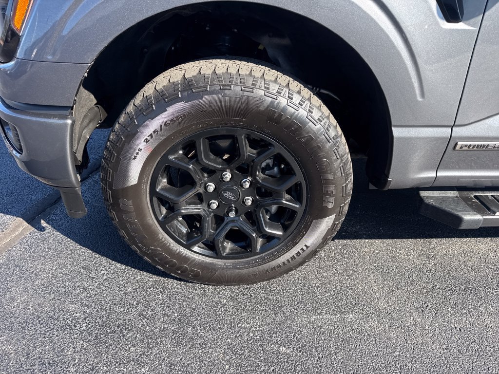 Used 2024 Ford F150 XLT w/ Equipment Group 302A MID AWD/4WD image 22