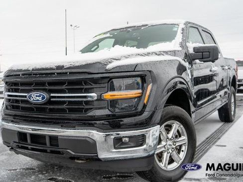 Used 2024 Ford F150 XLT AWD/4WD image 1