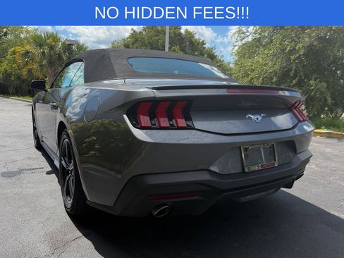 Used 2024 Ford Mustang Premium RWD image 6