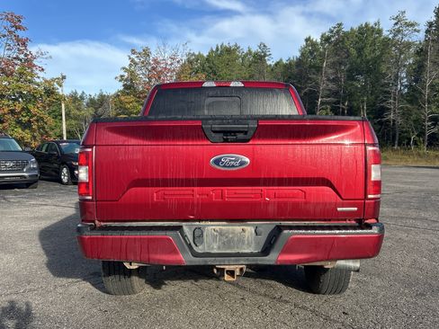 Used 2019 Ford F150 XLT w/ Equipment Group 302A Luxury AWD/4WD image 5