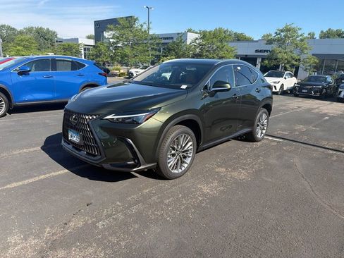 Used 2025 Lexus NX 350h AWD w/ Premium Package image 4