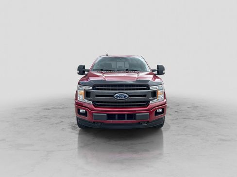 Used 2019 Ford F150 XLT w/ Equipment Group 302A Luxury AWD/4WD image 12