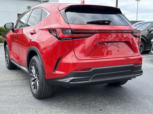 Used 2024 Lexus NX 250 FWD image 10