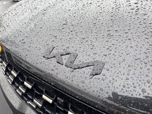 New 2026 Kia Carnival SX Prestige image 16