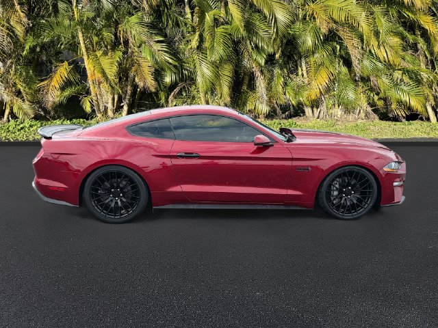 Used 2019 Ford Mustang GT Premium w/ Equipment Group 401A RWD image 3