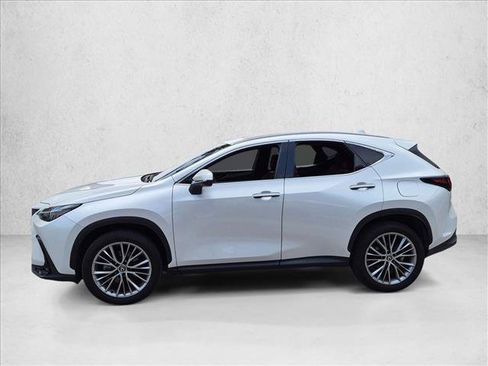 Used 2025 Lexus NX 350 AWD w/ Premium Package image 5