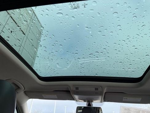 Used 2019 Volkswagen Tiguan SE w/ Panoramic Sunroof Package image 15