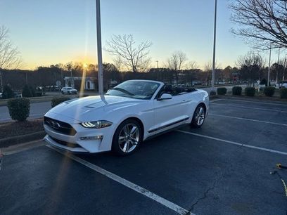 Used 2019 Ford Mustang Premium w/ Equipment Group 201A