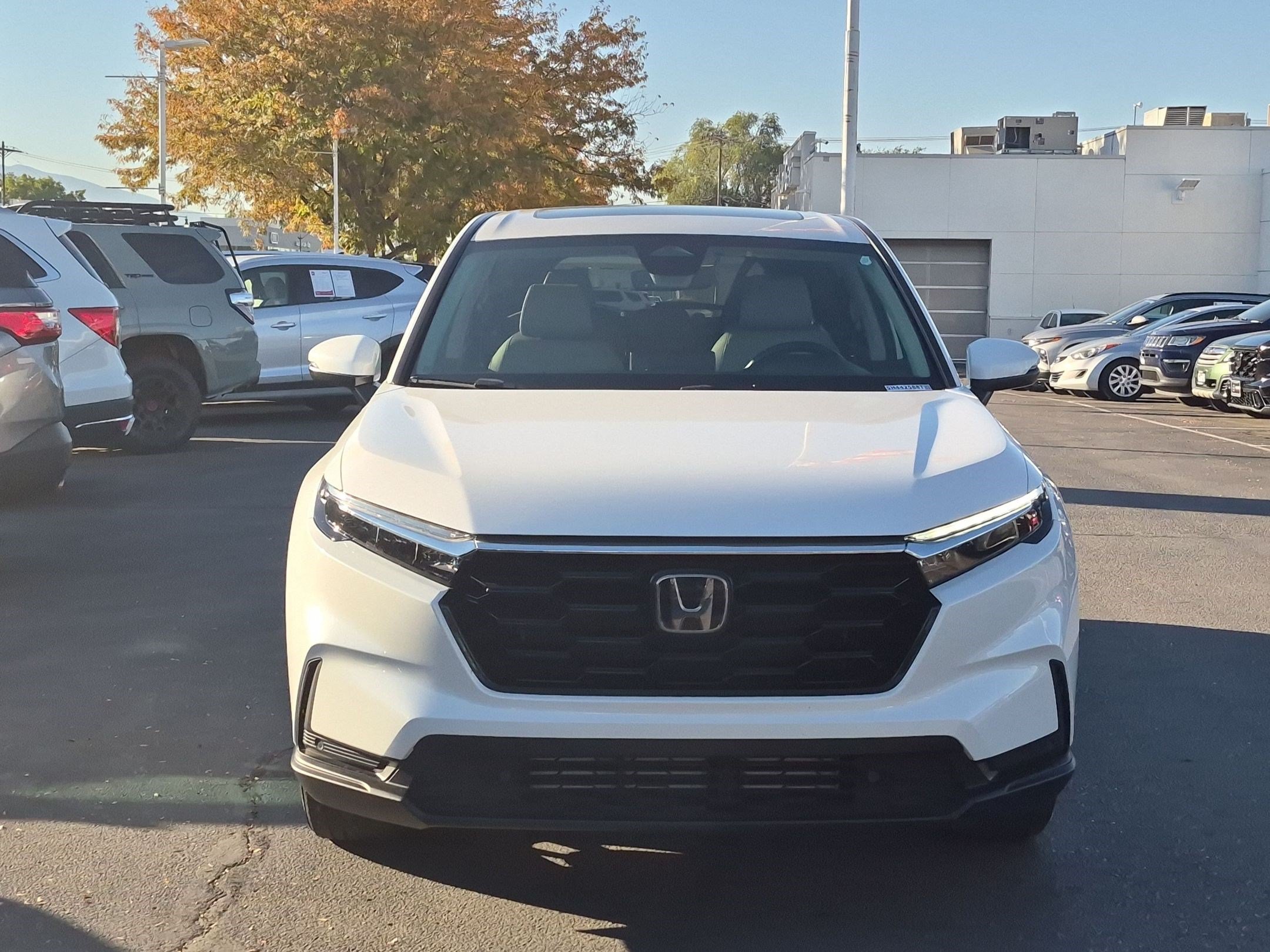 Certified 2025 Honda CR-V EX-L image 11