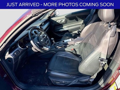 Used 2018 Ford Mustang GT Premium w/ Equipment Group 401A image 14