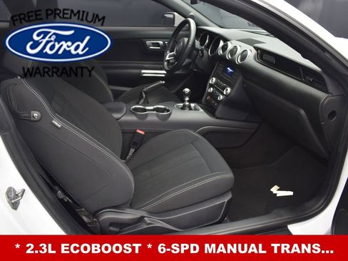 Used 2019 Ford Mustang Coupe image 12