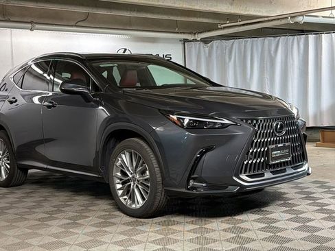 Certified 2025 Lexus NX 350 AWD w/ Cold Area Package image 1