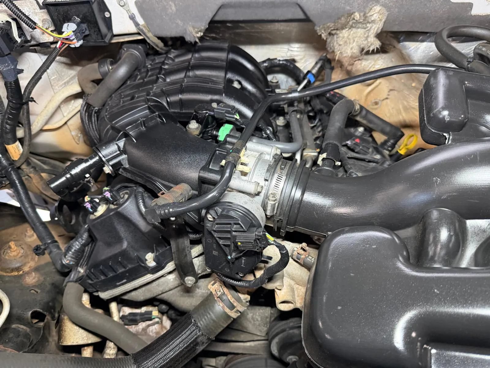 Used 2014 Ford F150 XL RWD image 12