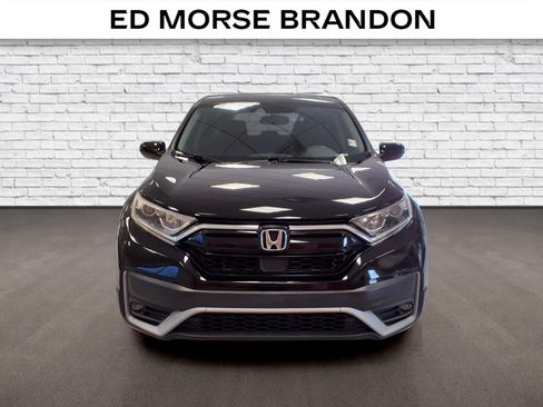 Used 2021 Honda CR-V EX-L image 7