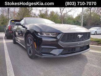 Used 2024 Ford Mustang Premium video 1