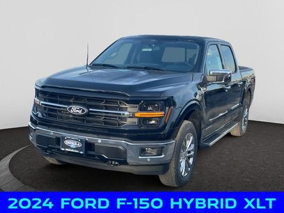 New 2024 Ford F150 XLT w/ Equipment Group 302A MID