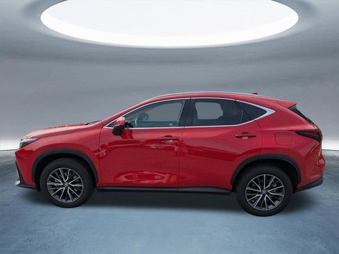 Used 2024 Lexus NX 250 FWD w/ Cold Area Package image 7