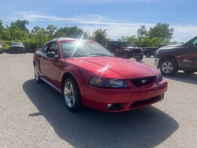 Used 2001 Ford Mustang Cobra