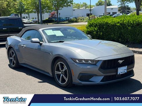 Used 2024 Ford Mustang Premium RWD image 1