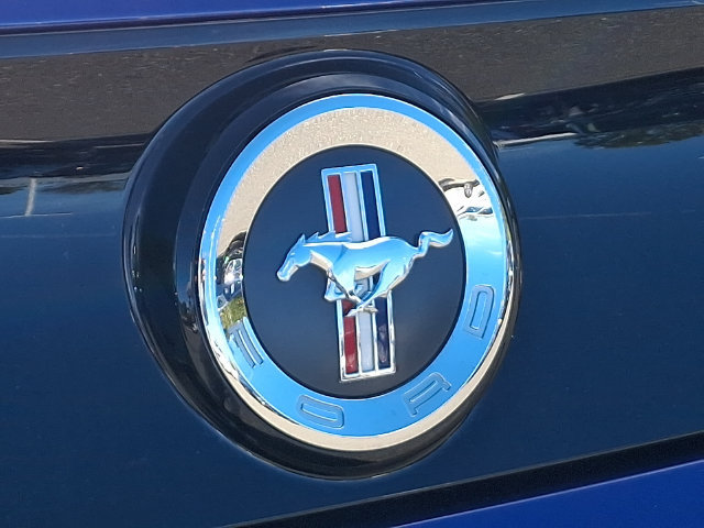 Used 2014 Ford Mustang Coupe w/ FP6 Appearance Package RWD image 28