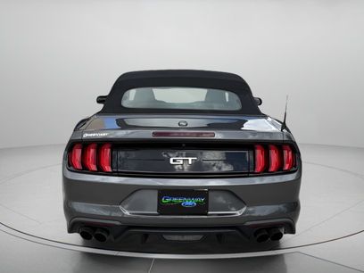 Used 2019 Ford Mustang GT Premium w/ GT Performance Package