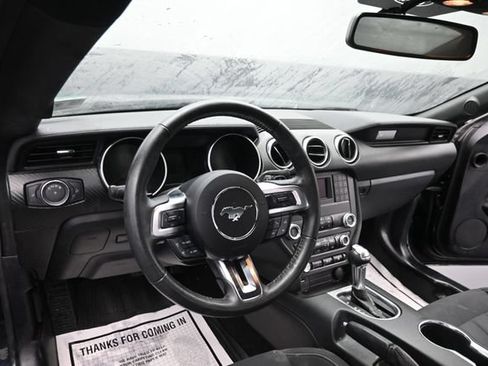 Used 2019 Ford Mustang Coupe RWD image 11