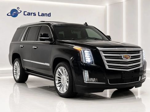 Used 2019 Cadillac Escalade Platinum AWD/4WD image 1