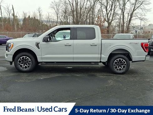 Certified 2023 Ford F150 XLT w/ Equipment Group 302A High image 6