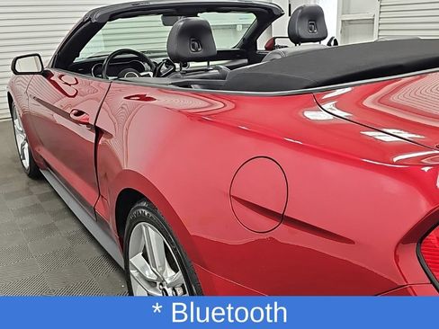 Used 2021 Ford Mustang Premium w/ Equipment Group 201A RWD image 9