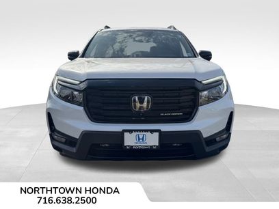 Used 2025 Honda Passport Black Edition
