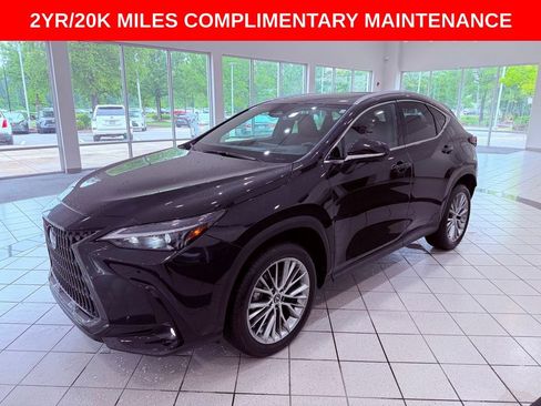 Certified 2025 Lexus NX 350 AWD w/ Accessory Package (Z2) image 3