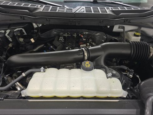 Used 2025 Ford F150 XLT w/ Equipment Group 301A Standard AWD/4WD image 16