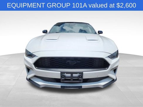 Used 2022 Ford Mustang Coupe w/ Equipment Group 101A RWD image 2
